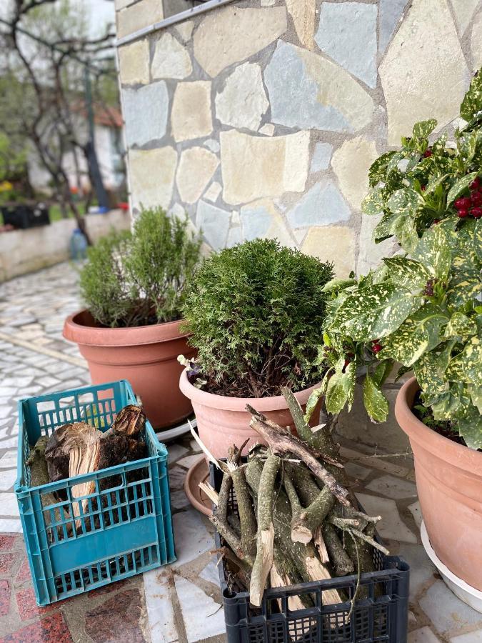 Kasaj Villa Gjirokastër 外观 照片