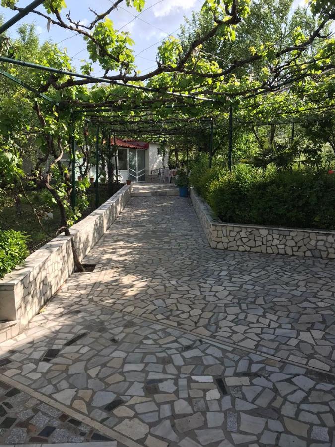 Kasaj Villa Gjirokastër 外观 照片